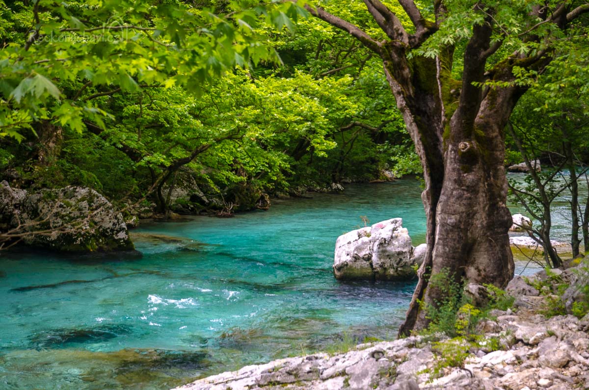 Vikos_Zagori_Recko_Voidomatis